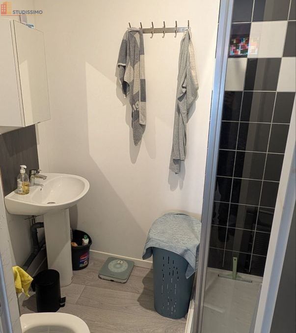 Studio 21m² Mons-en-Baroeul - Vieux Mons, lumineux - Photo 1