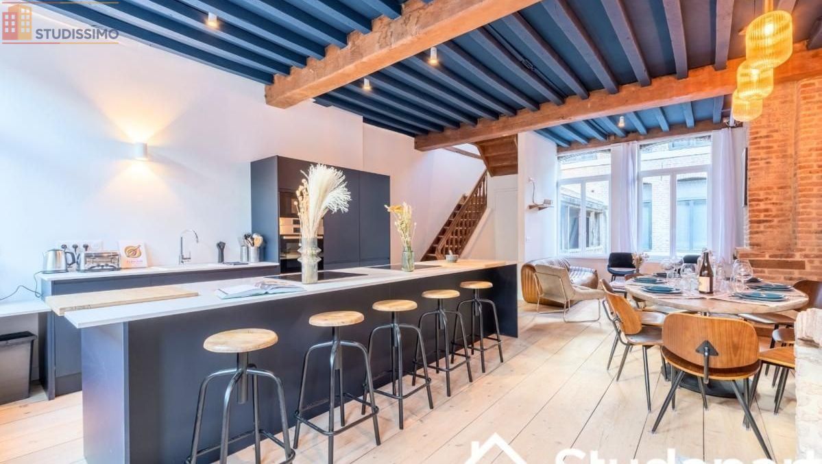 Studio meublé 17m² Lille 59800 - Meublé, DPE A - Photo 8