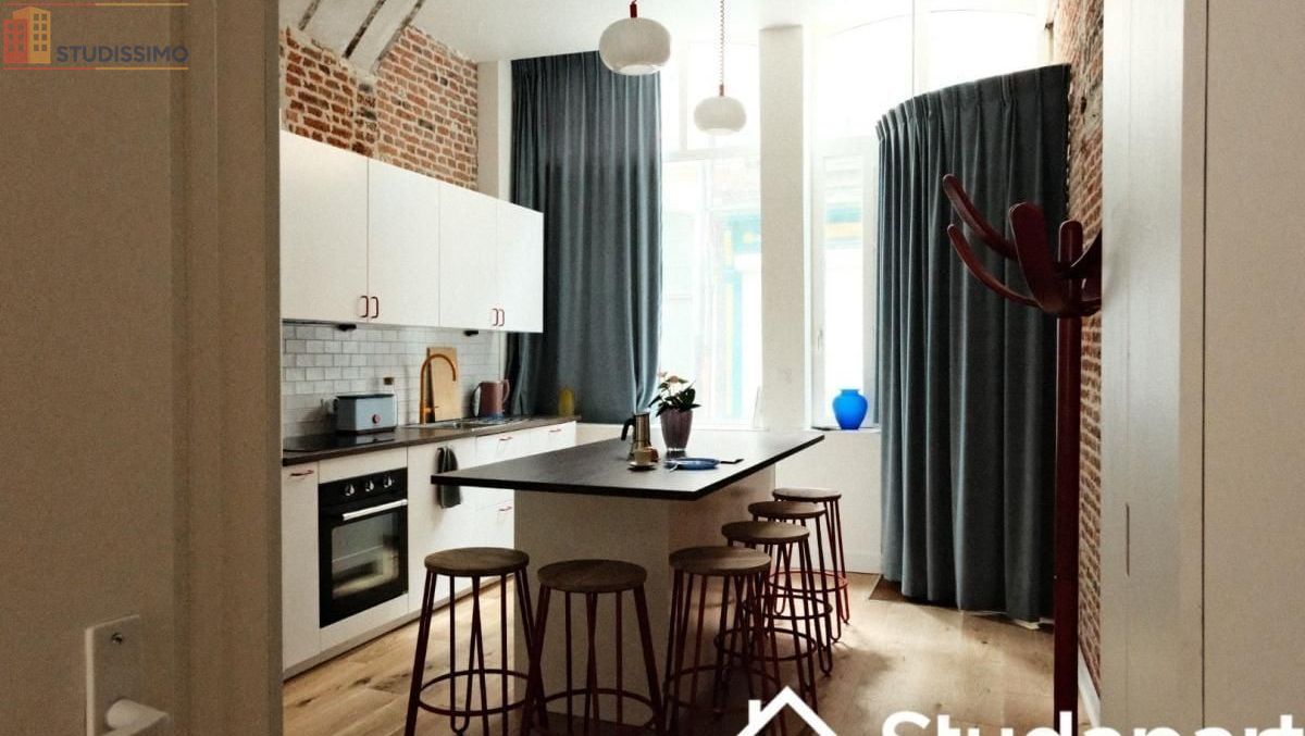 Studio 13m² Lille 59800 - Meublé, DPE A - Photo 13