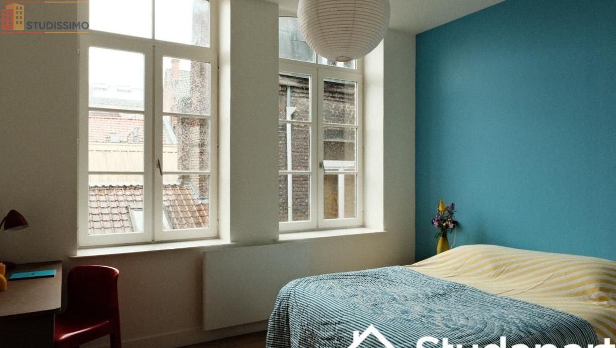 Studio 13m² Lille 59800 - Meublé, DPE A - Photo 4