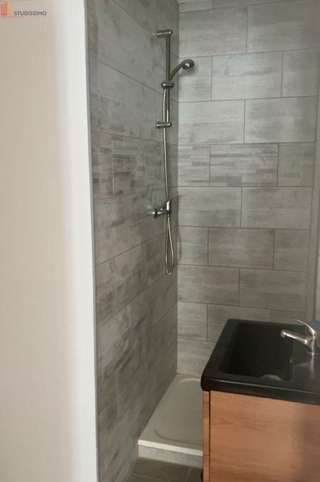 Studio meublé 20m² Lille centre - Refait à neuf, proche boulevard Victor Hugo - Photo 1
