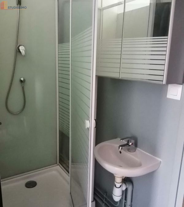 Studio 11m² Villeneuve-d'Ascq - Meublé, dernier étage - Photo 7