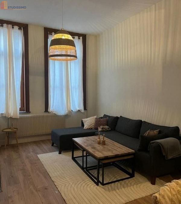 Studio meublé 15m² Roubaix 59100 - Meublé, DPE A - Photo 4