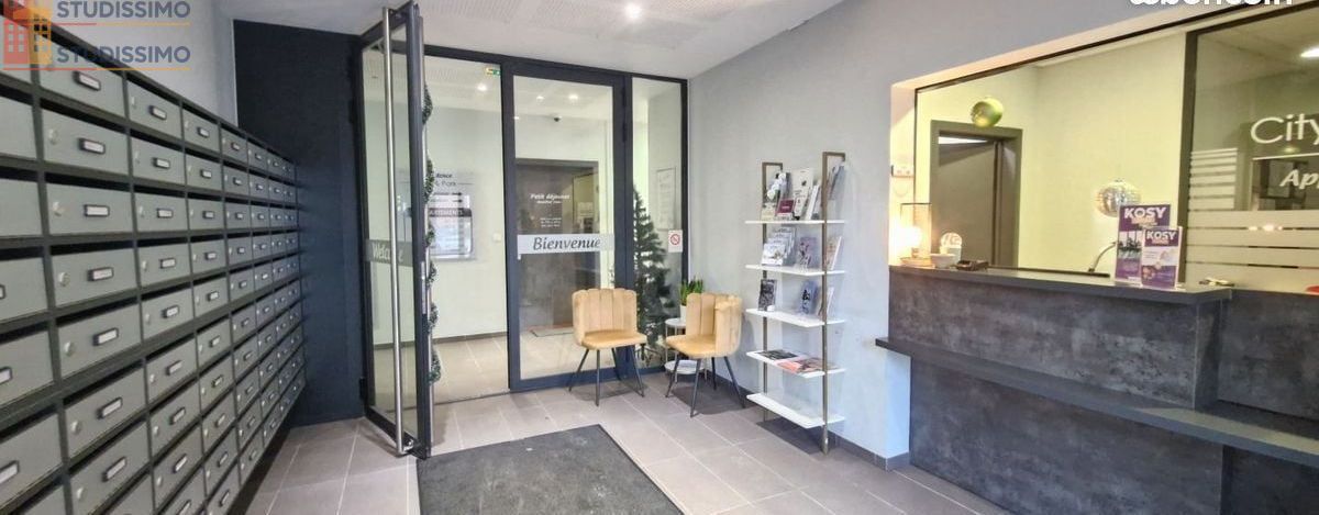 Studio 19m² Troyes 10000 - DPE C, lumineux - Photo 3