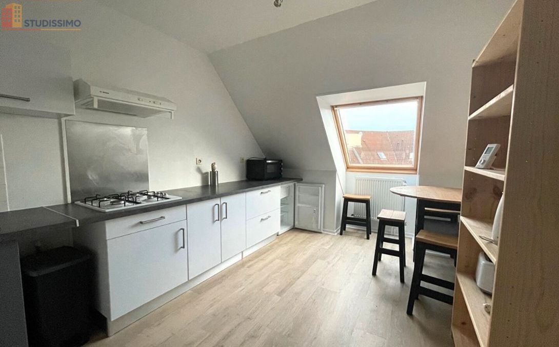 Studio 46m² Troyes - Lumineux, meublé - Photo 2