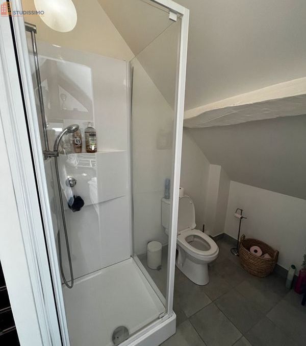 Studio meublé 40m² Saint-Vaast-lès-Mello - Cosy, grand - Photo 2