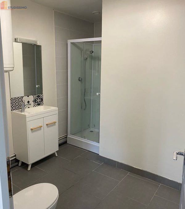 Studio 30m² Saint-Martin-le-Noeud - Façon maisonnette - Photo 3