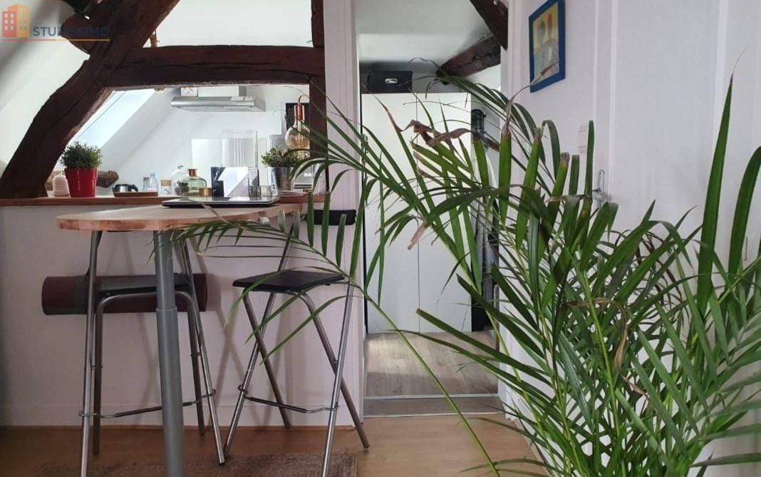 Studio meublé 30m² Senlis 60300 - Centre-ville, lumineux - Photo 3