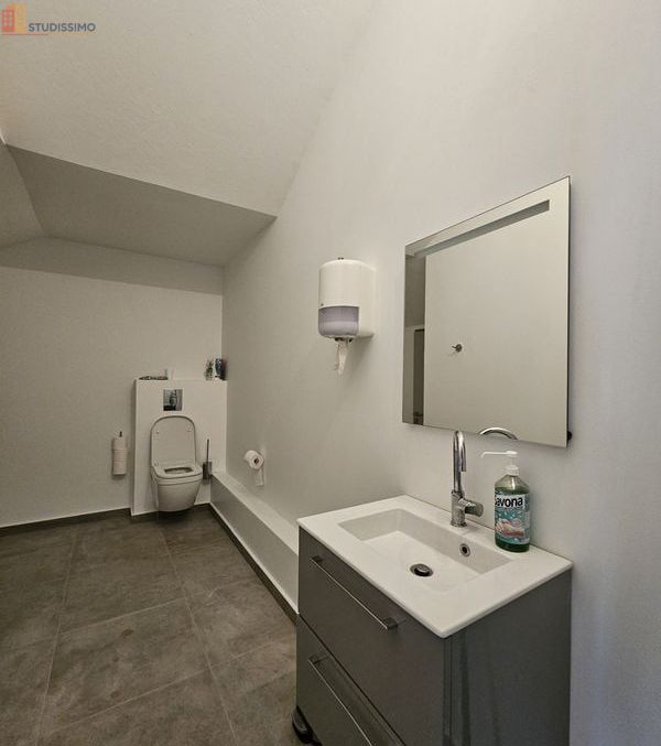 Studio 71m² Baraqueville - Étage élevé, lumineux - Photo 3