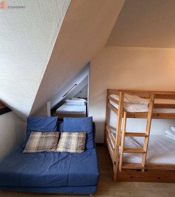 Studio 11m² Laveissière (15300) - Photo 4