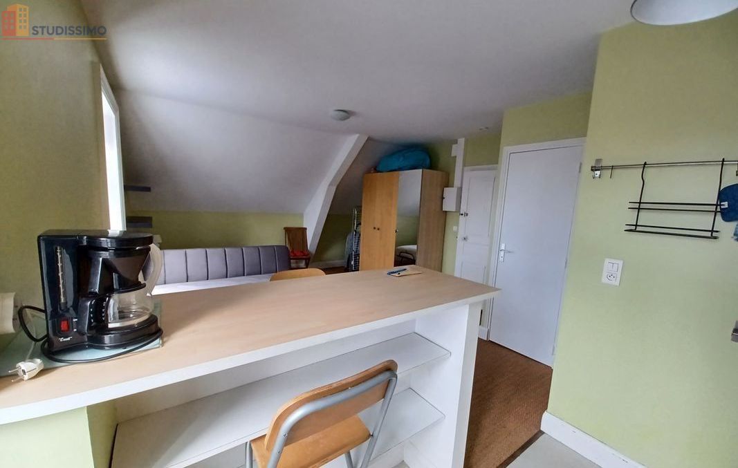 Studio 24m² Mauriac - Étage élevé, lumineux - Photo 4