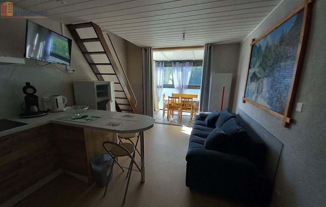 Studio 42m² Laveissière 15300 - Duplex, dernier étage - Photo 6