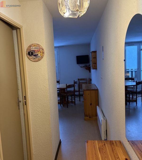 Studio 28m² Laveissière 15300 - Photo 1