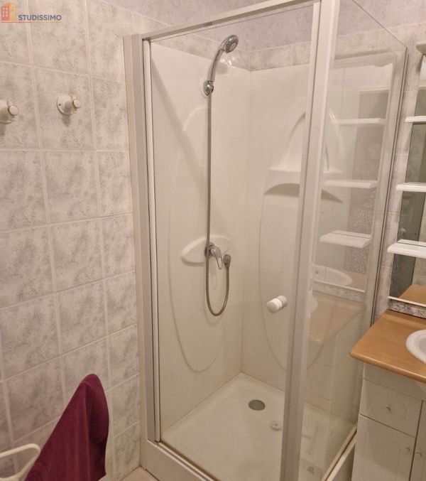 Studio 27m² Laveissière 15300 - Emplacement premium - Photo 1