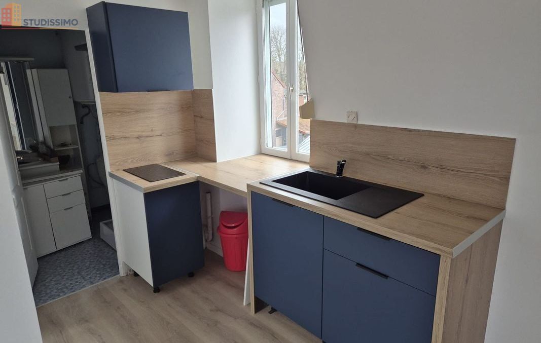 Studio 25m² Saint-Omer - Lumineux, proche centre et parc - Photo 8