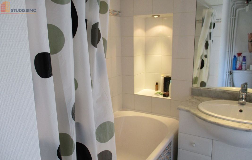 Studio 28m² Clermont-Ferrand - Mansardé, lumineux - Photo 3