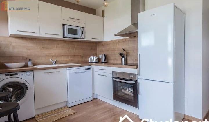 Studio meublé 47m² Tarbes - Grand espace, lumineux - Photo 3
