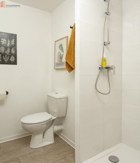 Studio meublé 18m² Clermont-Ferrand - Meublé, DPE C - Photo 12