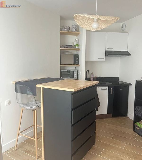 Studio meublé 28m² Tarbes centre - Lumineux, terrasse - Photo 3