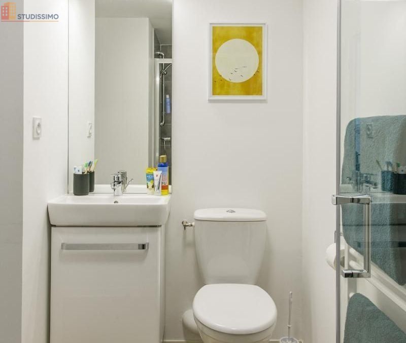 Studio meublé 19m² Clermont-Ferrand 63000 - Meublé, DPE C - Photo 8