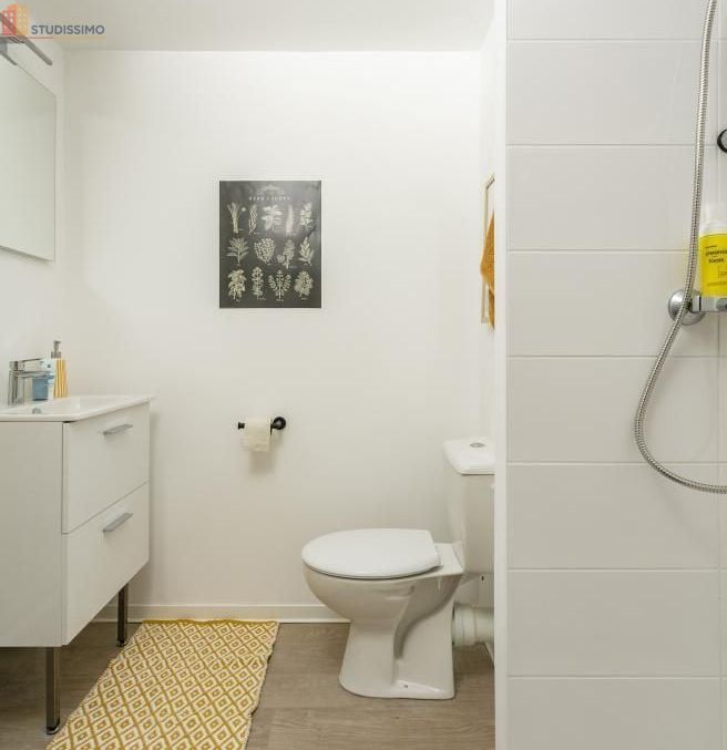 Studio meublé 18m² Clermont-Ferrand 63000 - Meublé, DPE C - Photo 15
