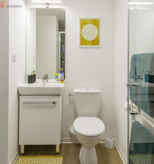 Studio meublé 25m² Clermont-Ferrand 63000 - Meublé, DPE C - Photo 12