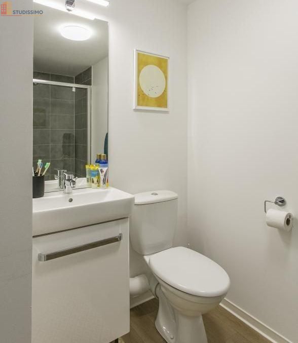Studio meublé 25m² Clermont-Ferrand 63000 - Meublé, DPE C - Photo 6