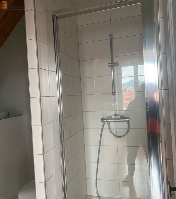 Studio 28m² Clermont-Ferrand centre - Proche Jardin Lecoq - Photo 1