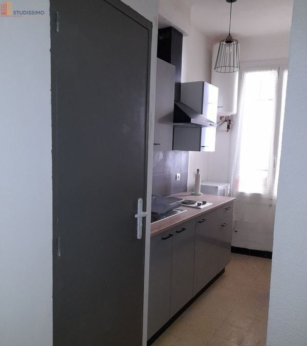 Studio meublé 20m² Arles-sur-Tech - Meublé, DPE D - Photo 1