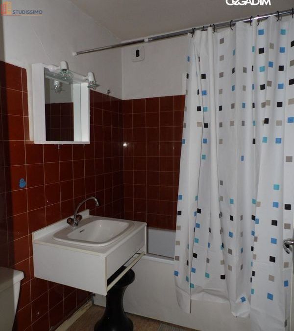 Studio meublé 25m² Clermont-Ferrand 63000 - Meublé, DPE D - Photo 1