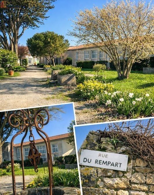 Studio 34m² Saint-Martin-de-Ré - Jardin, proche centre - Photo 1