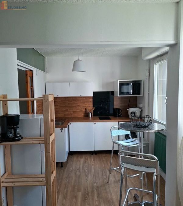 Studio meublé 38m² Clermont-Ferrand 63000 - Centre-ville, lumineux - Photo 1