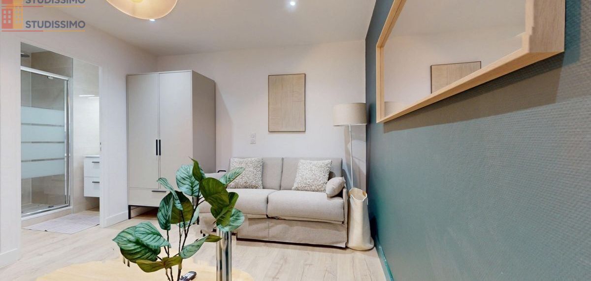 Studio meublé 18m² Clermont-Ferrand - Meublé, DPE C - Photo 1