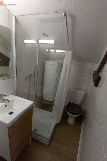 Studio meublé 17m² Clermont-Ferrand - Calme, dernier étage - Photo 1
