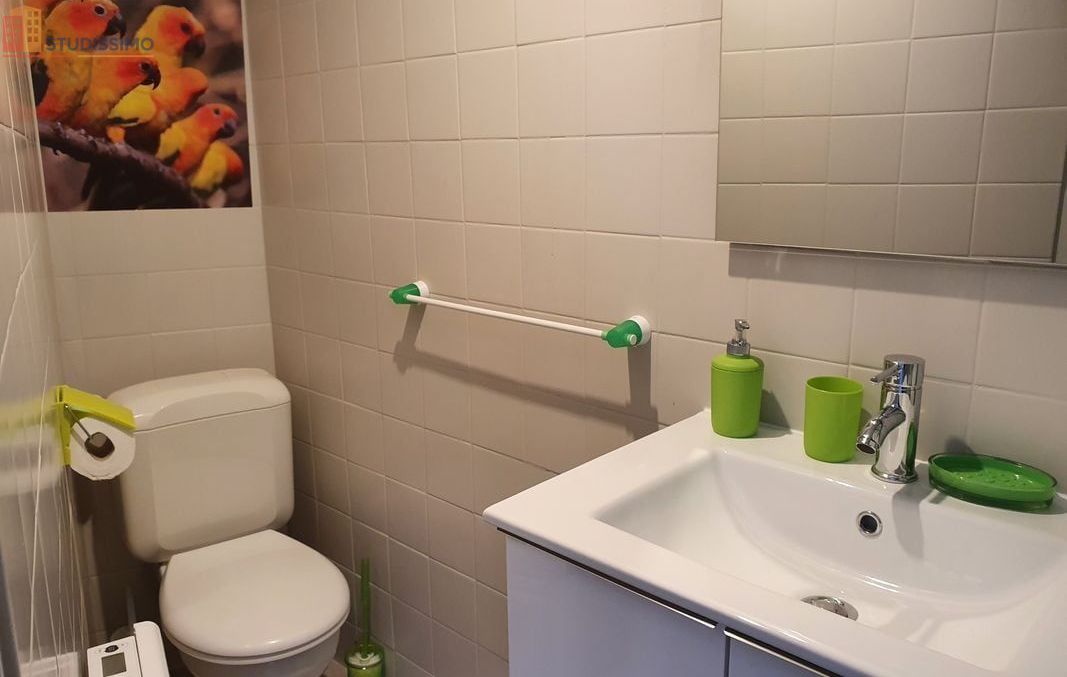 Studio 18m² Amélie-les-Bains-Palalda - Meublé, idéal étudiant - Photo 1