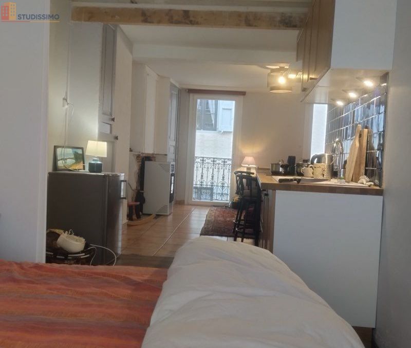 Studio meublé 39m² Prats-de-Mollo-la-Preste - Vieux village, calme - Photo 2
