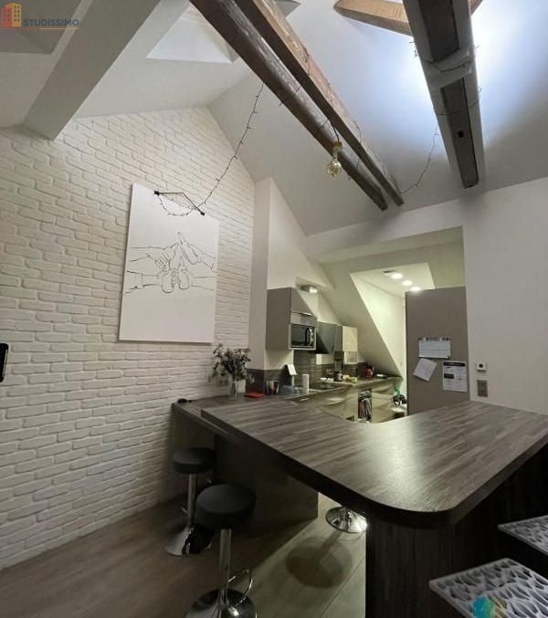 Studio meublé 10m² Strasbourg centre - lumineux, 4e étage - Photo 4