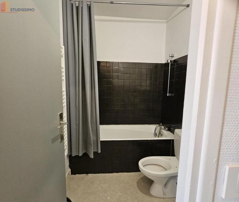Studio 27m² Saint-Éloy-les-Mines - 1 pièce - Photo 8