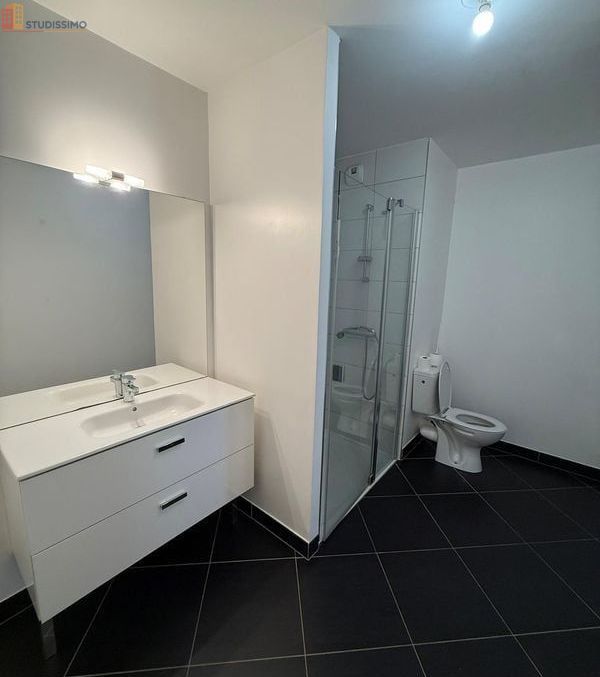 Studio 31m² Clermont-Ferrand - Terrasse 11m², hyper centre - Photo 3