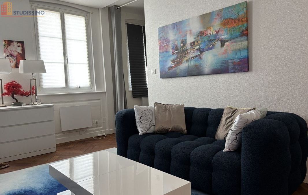 Studio 42m² Strasbourg centre - Meublé, lumineux - Photo 18