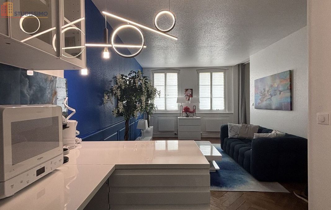 Studio 42m² Strasbourg centre - Meublé, lumineux - Photo 15