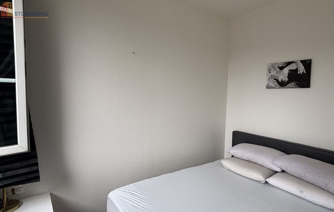 Studio 42m² Strasbourg centre - Meublé, lumineux - Photo 6
