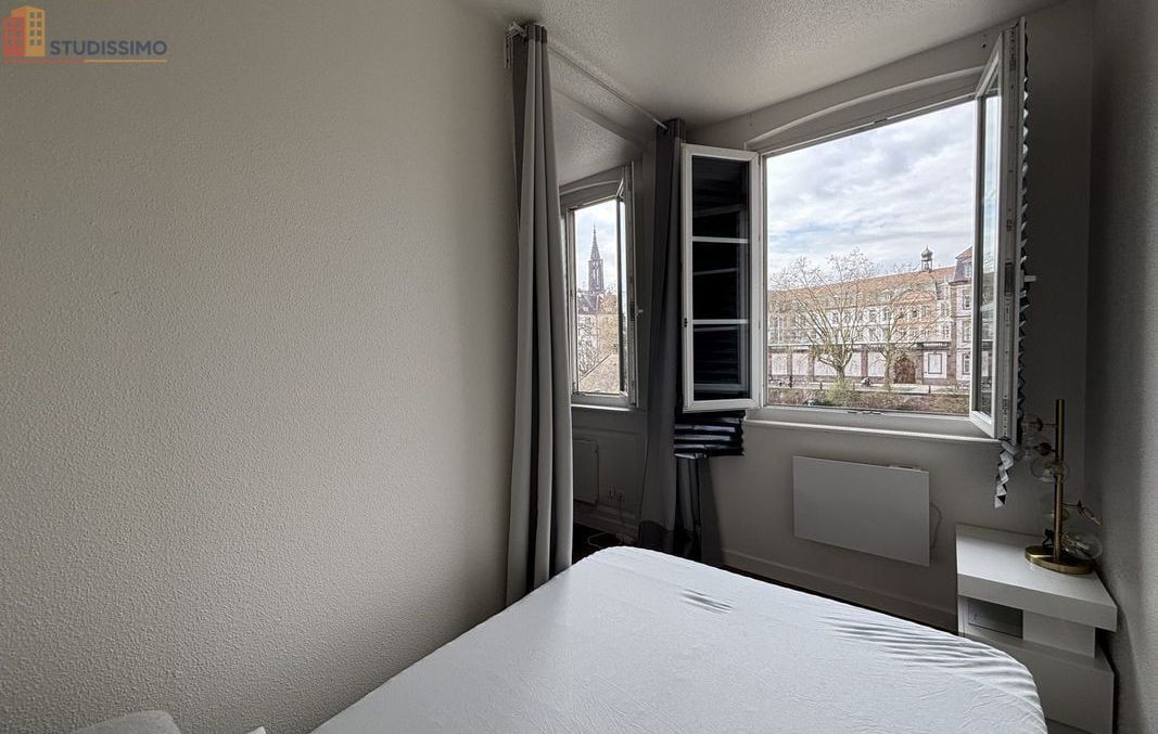 Studio 42m² Strasbourg centre - Meublé, lumineux - Photo 4