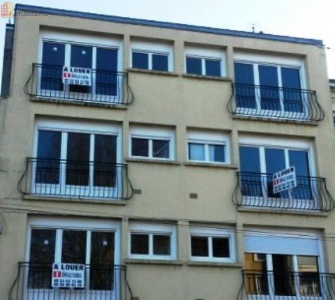 Studio 30m² Périgueux - DPE D, lumineux - Photo 1