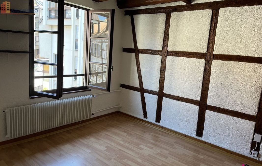 Studio 24m² Strasbourg centre - Étage élevé, lumineux - Photo 4