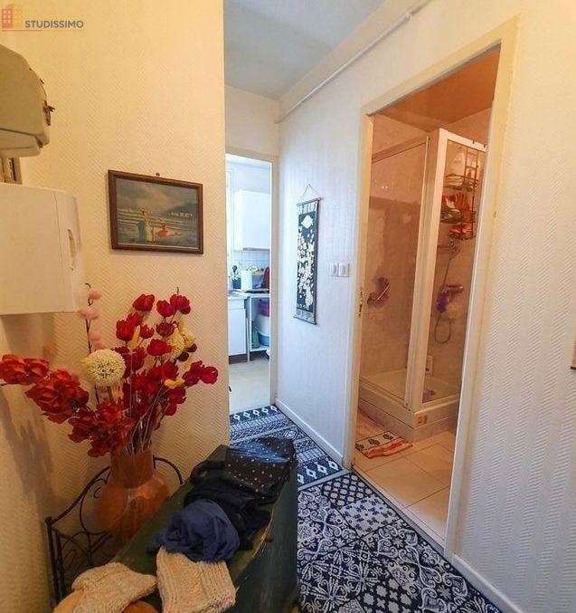 Studio 32m² Terrasson-Lavilledieu - места tranquilles - Photo 6