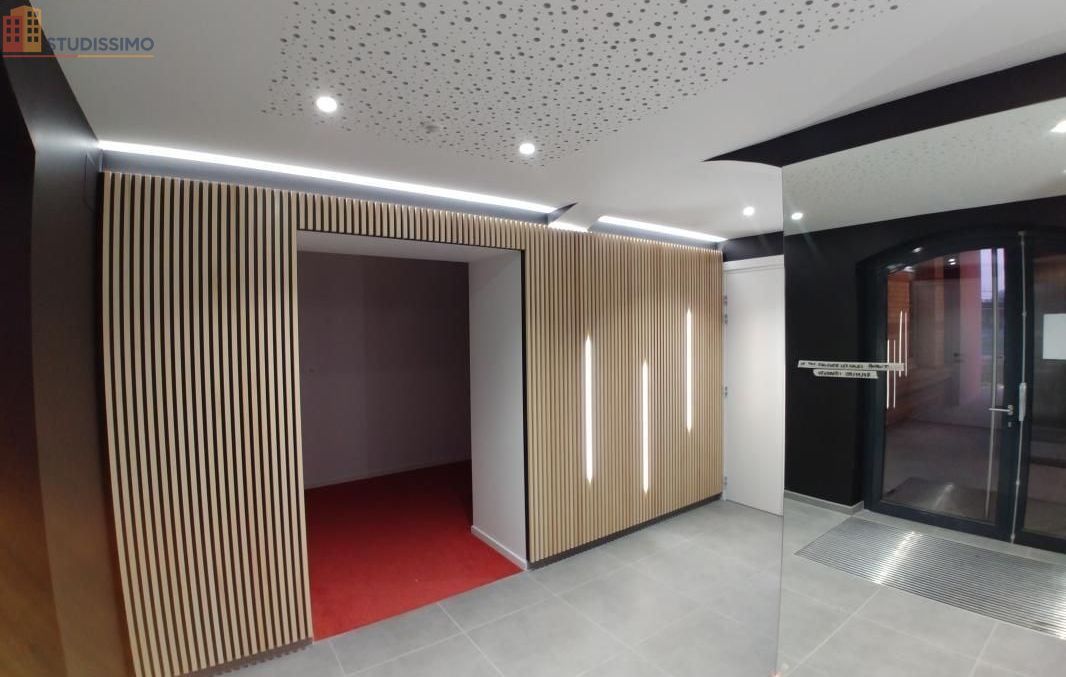 Studio 33m² Haguenau - lumineux - Photo 5