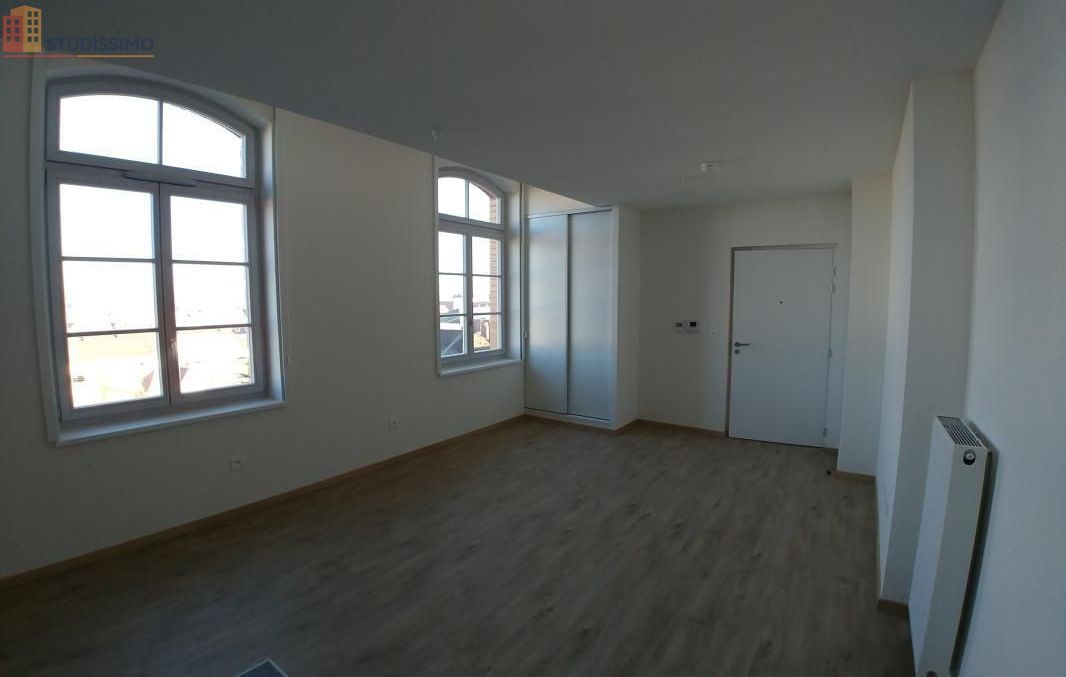 Studio 33m² Haguenau - lumineux - Photo 3