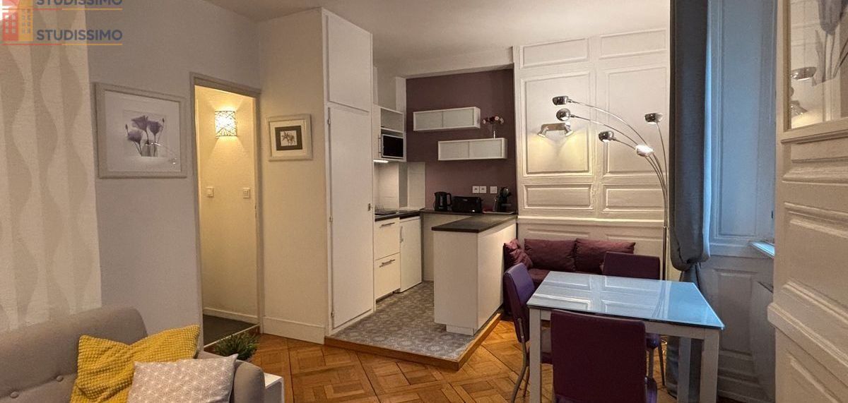 Studio meublé 24m² Strasbourg centre - Charme, hypercentre - Photo 2
