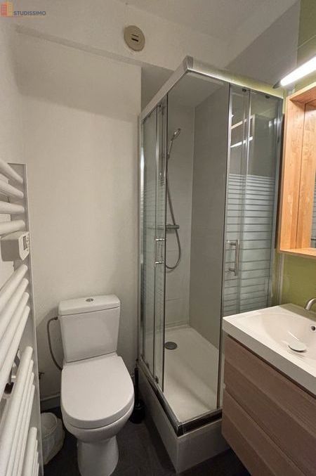 Studio meublé 24m² Strasbourg centre - Charme, hypercentre - Photo 1